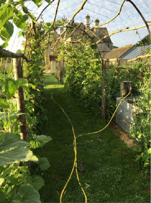 Ham Court, Bampton, Oxfordshire, OX18 2HG National Garden Scheme